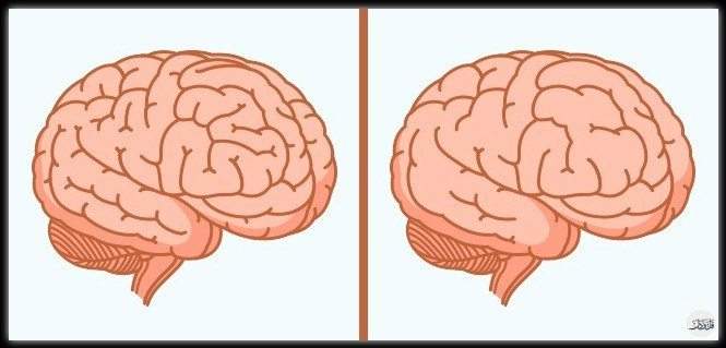 10 أخطاء شائعة تؤثر على العقل دون أن نعرف