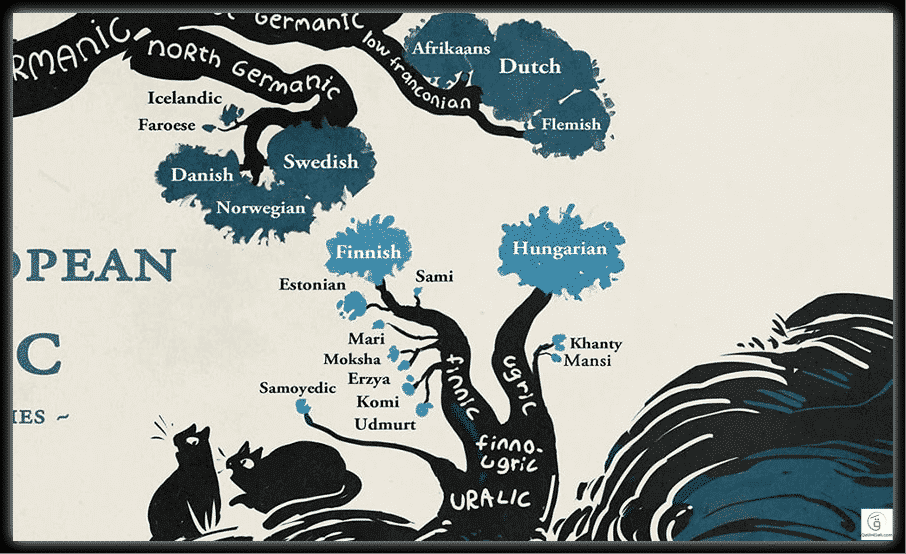 تجمع أغلبية البشر تحت مظلتها.. شجرة عائلة اللغات الهندو-أوروبية