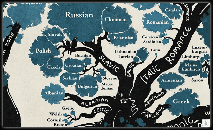 تجمع أغلبية البشر تحت مظلتها.. شجرة عائلة اللغات الهندو-أوروبية