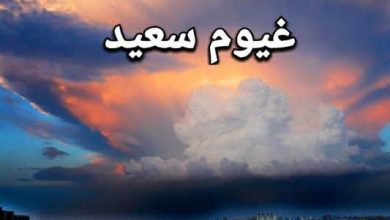 زياد فؤاد يكتب: حديقة البني آدمين.. غيوم سعيد