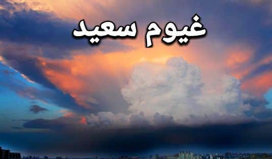 زياد فؤاد يكتب: حديقة البني آدمين.. غيوم سعيد