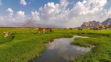 البرداني صور مذهلة لأجمل وديان السعودية