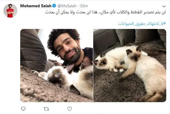 محمد صلاح «فخر الدعايا المجانية»