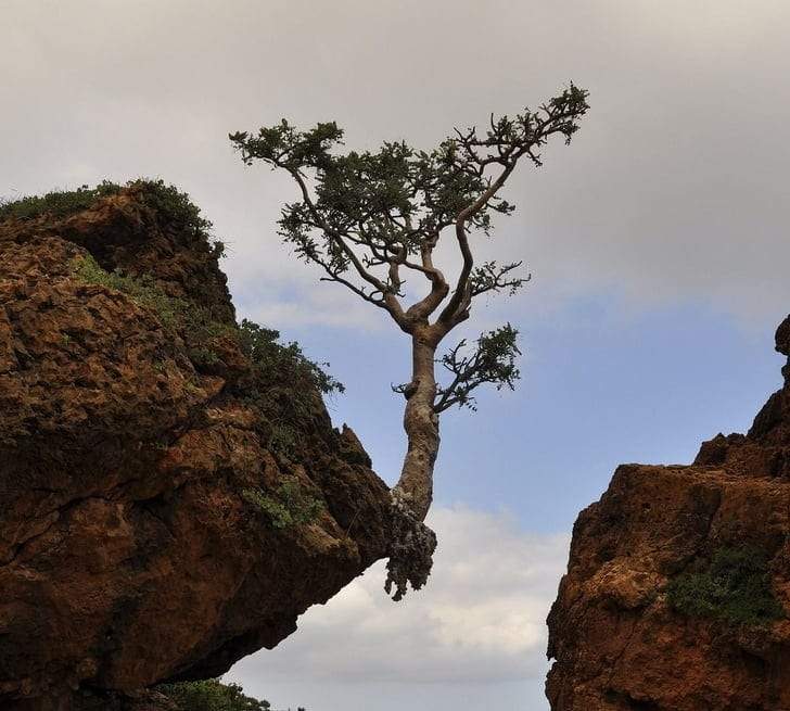 صور مثيرة.. عندما تسيطر الطبيعة على مقاليد الحياة