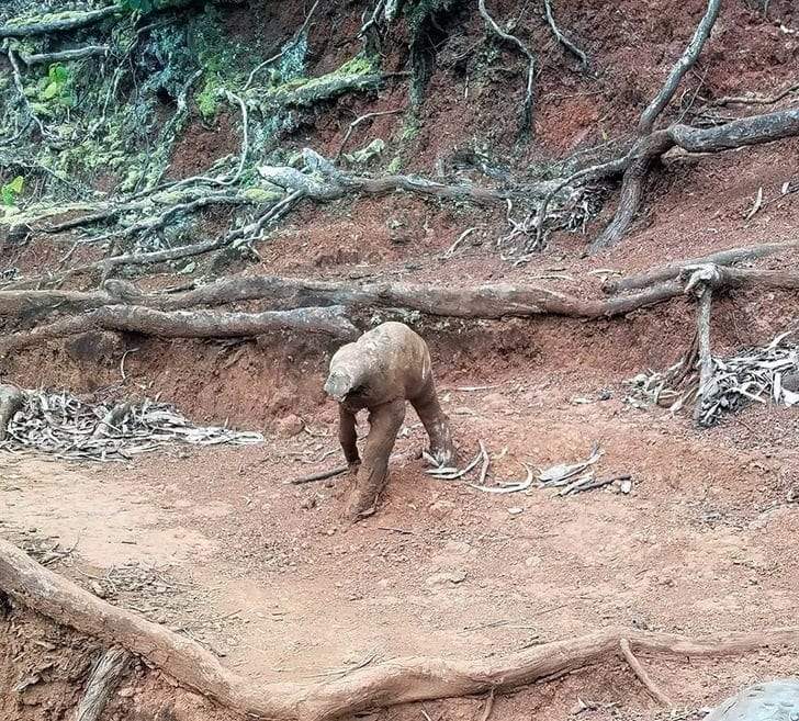 صور ستنجح في خداعك لا محالة