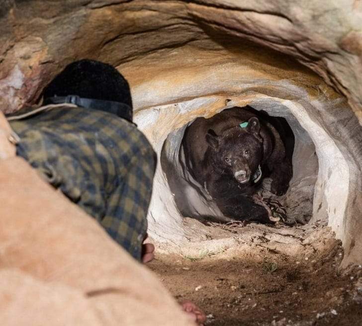 صور مسلية تبرز أخطاء الإنسان الطريفة