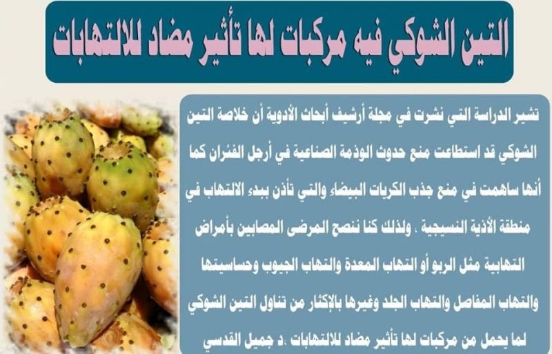 فوائد التين الشوكي