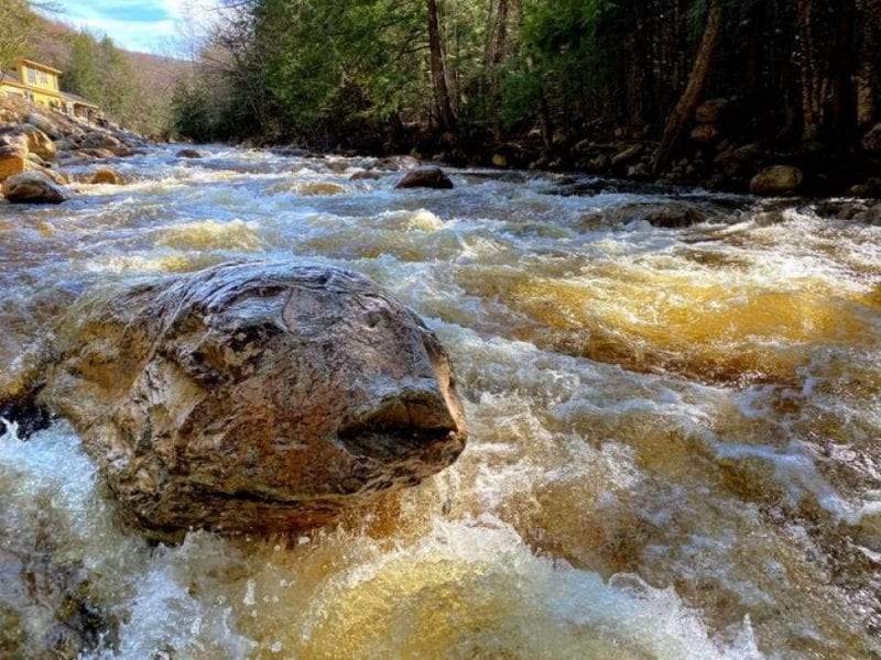 صور مفاجئة.. فقط إن نظرت إليها بتركيز