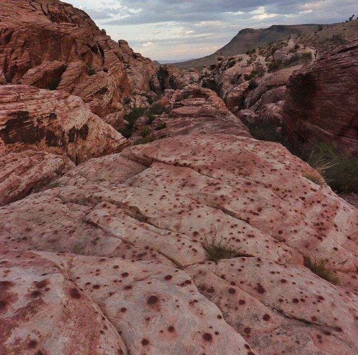 صور مربكة.. عندما يدفعنا الجوع لرؤية الطعام في كل مكان