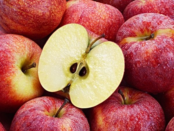 فوائد زيت بذور التفاح وموانع استخدامه
