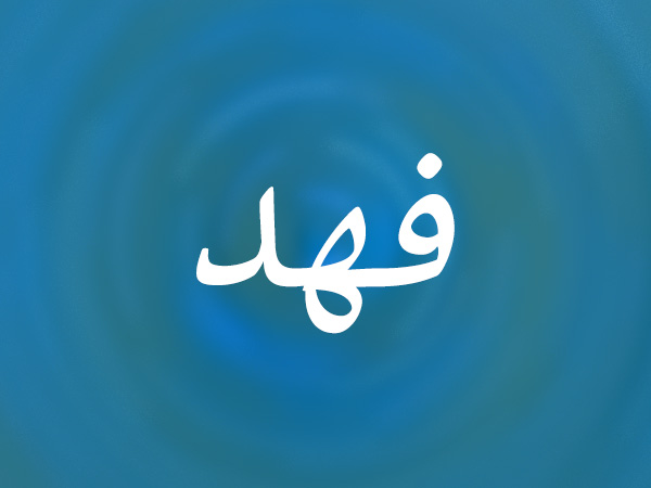 معنى اسم فهد 