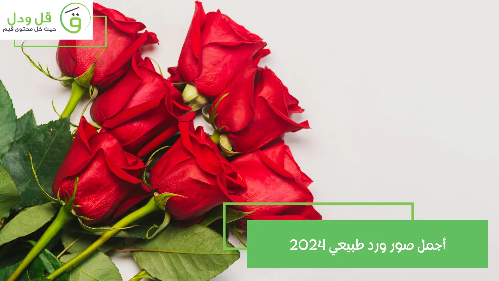 أجمل صور ورد طبيعي 2024