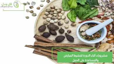 مشروبات أثناء الدورة لتنشيط المبايض والمساعدة على الحمل